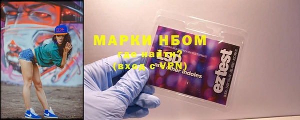 бошки Бронницы