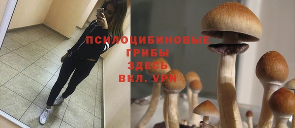 винт Бородино