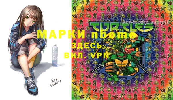 бошки Бронницы