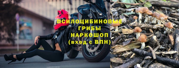 крисы Бугульма