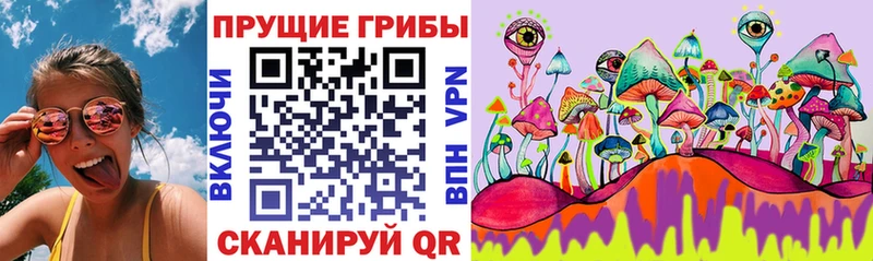 Галлюциногенные грибы MAGIC MUSHROOMS  Мурманск 