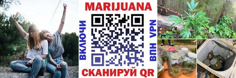 мега   Мурманск  Каннабис семена 